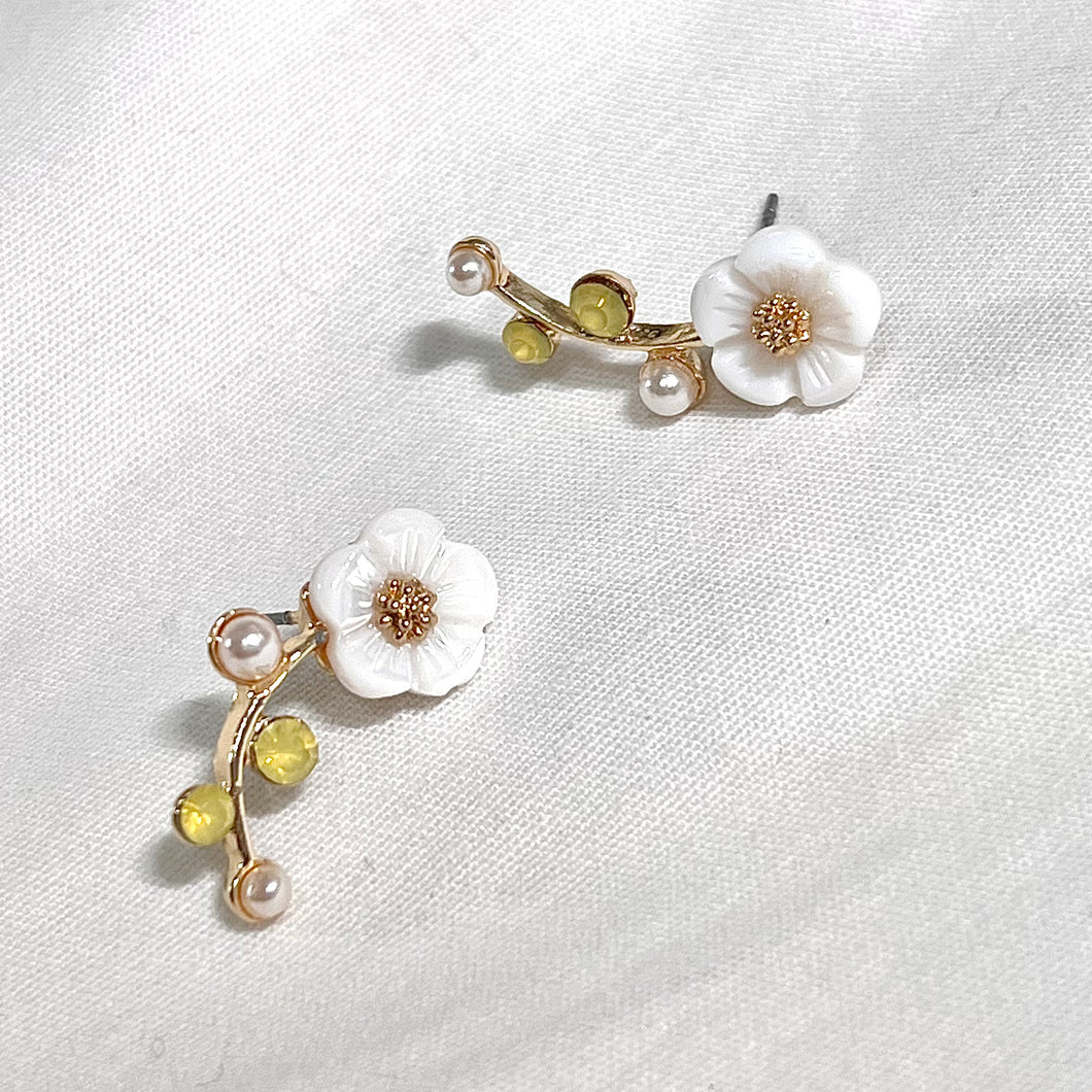 Spring Daisy